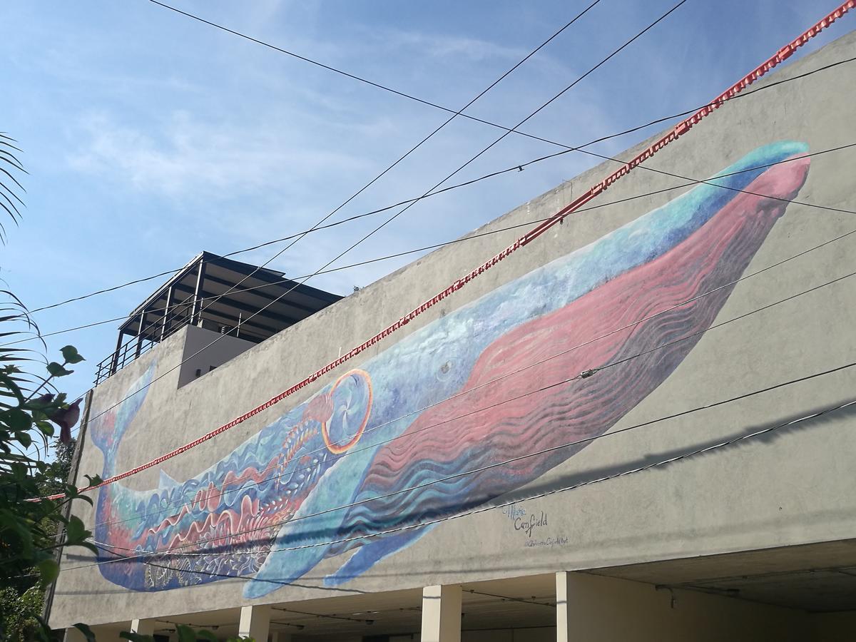 סאיוליטה Casa De La Ballena (Adults Only) מראה חיצוני תמונה